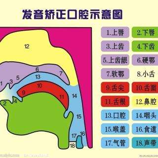 河南普通話考試報名網(wǎng):普通話水平測試復(fù)習(xí)重點(二),實用技巧